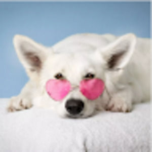 Meet your Posher, Lillian